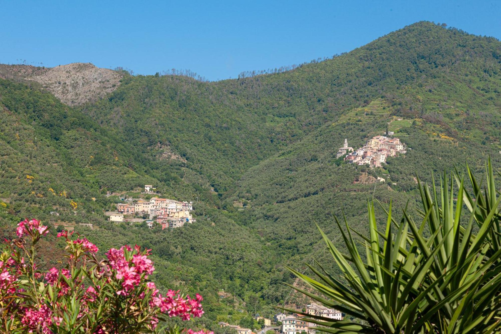Villa Dell'Erta - Levanto Montale  외부 사진